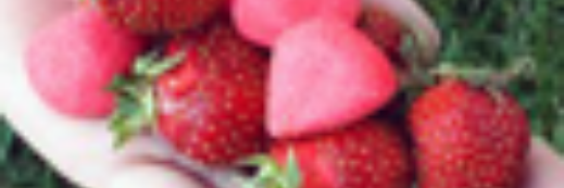 Александрович Джонни banner