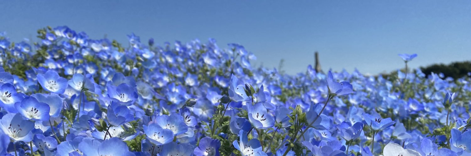 Suma0118's profile banner image