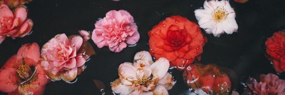 kmlqsf's profile banner image