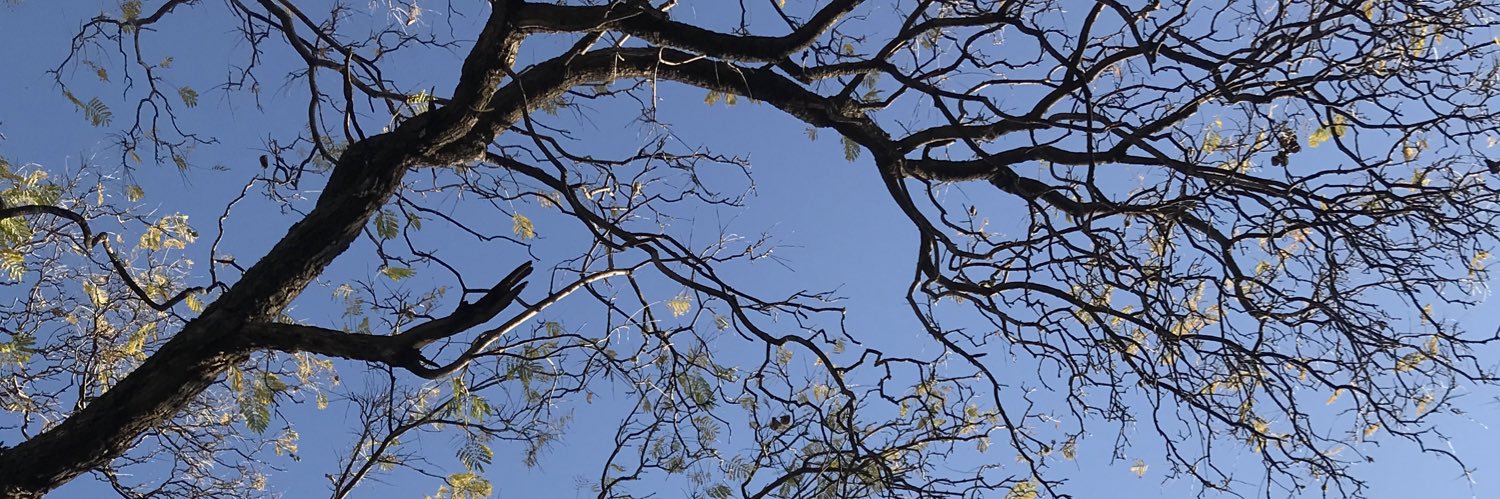 Bohemi27's profile banner image