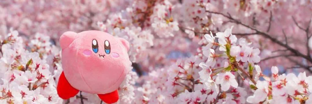 galaxtea's profile banner image