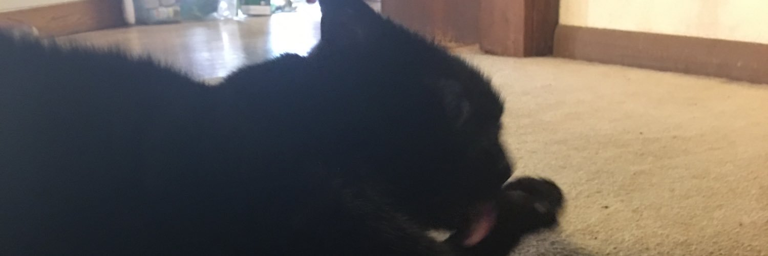 Schmookitty's profile banner image