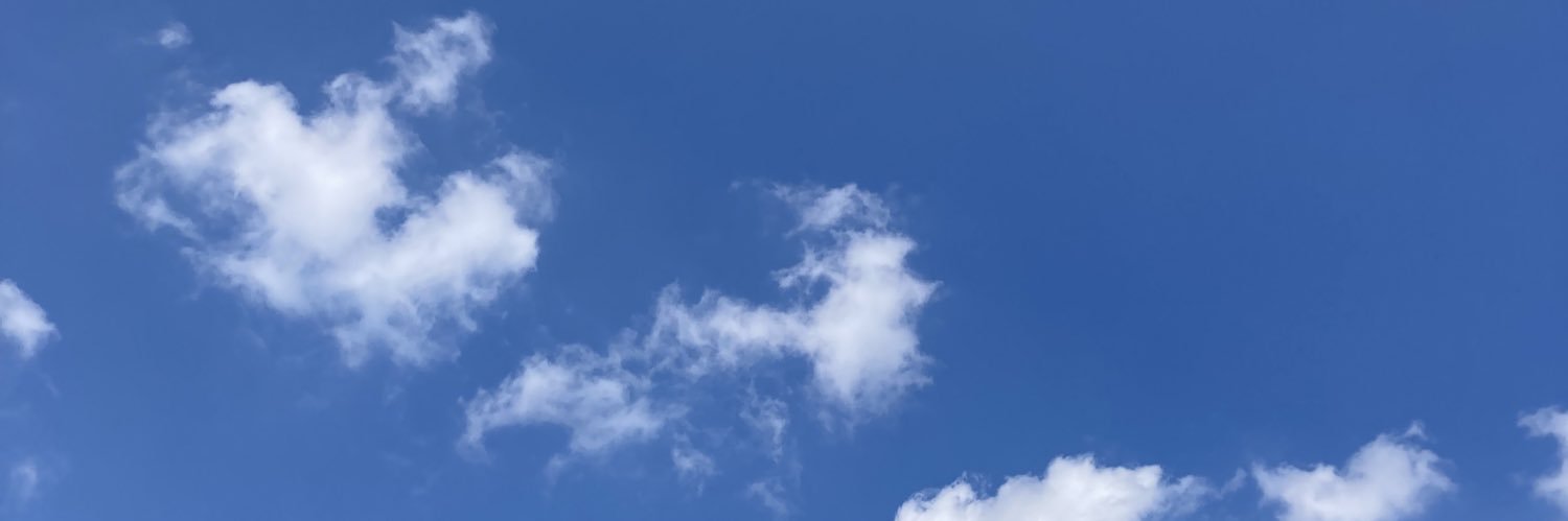 Kathrin Moeslein banner