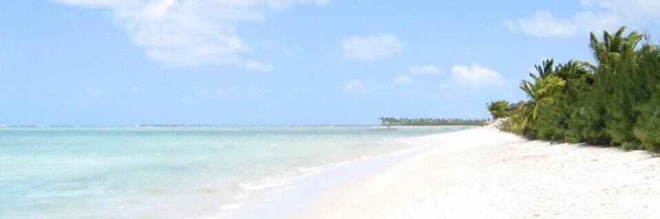 Dillon T banner