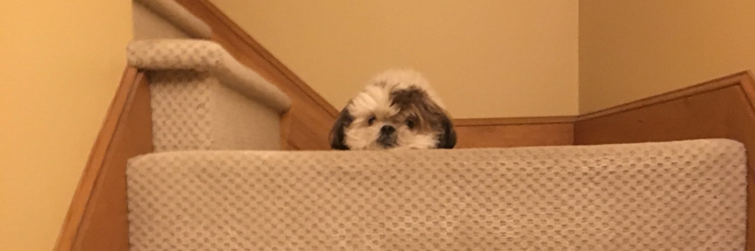 juliamooooose's profile banner image