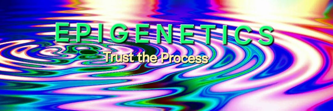 ⚡️💥UNSTOPPABLE DÍNO💥⚡️ banner