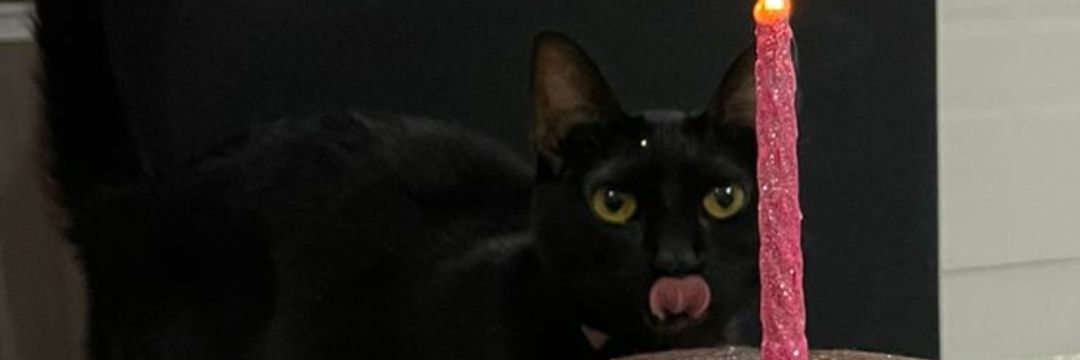 astroglitters's profile banner image