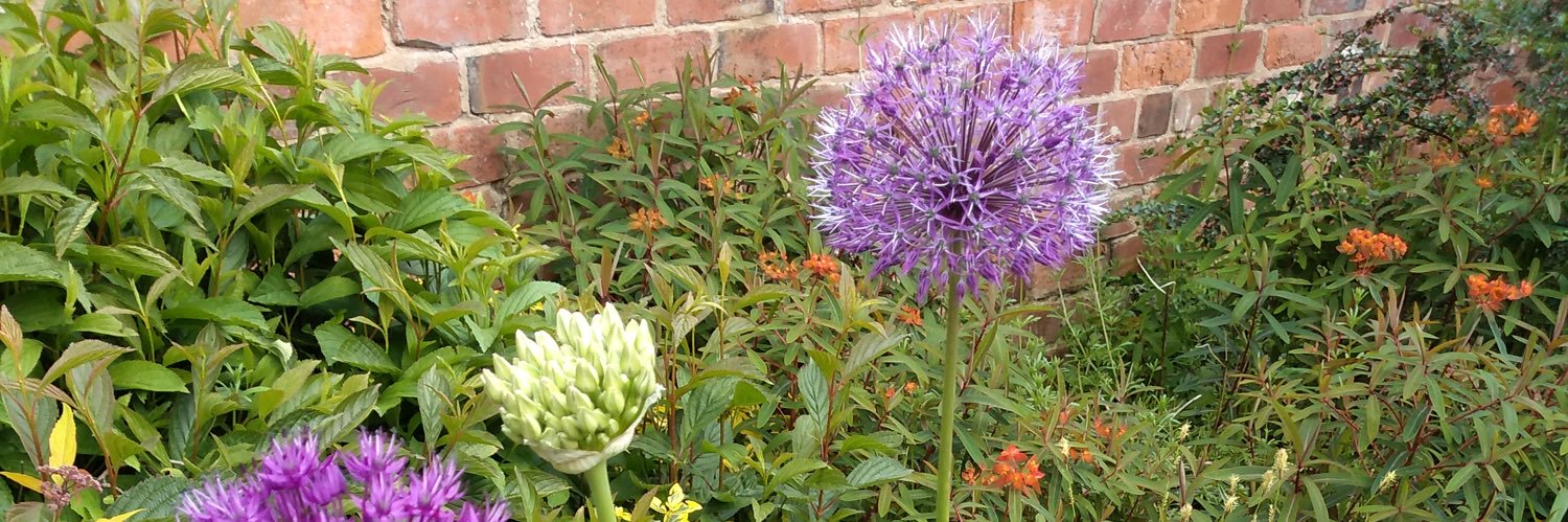 Michelle Gillard banner