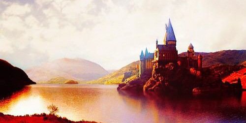 nigh___t__'s profile banner image
