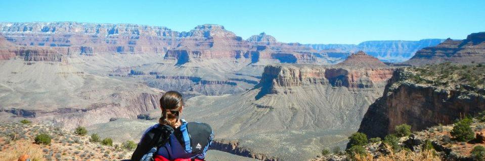 Jessica M Larmore banner