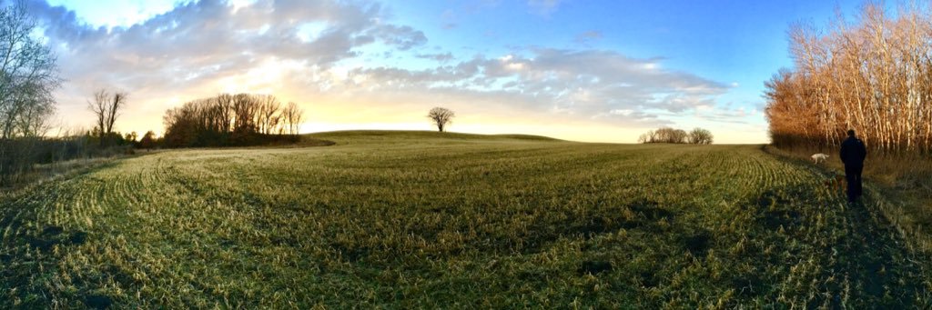 Garrick Grace banner