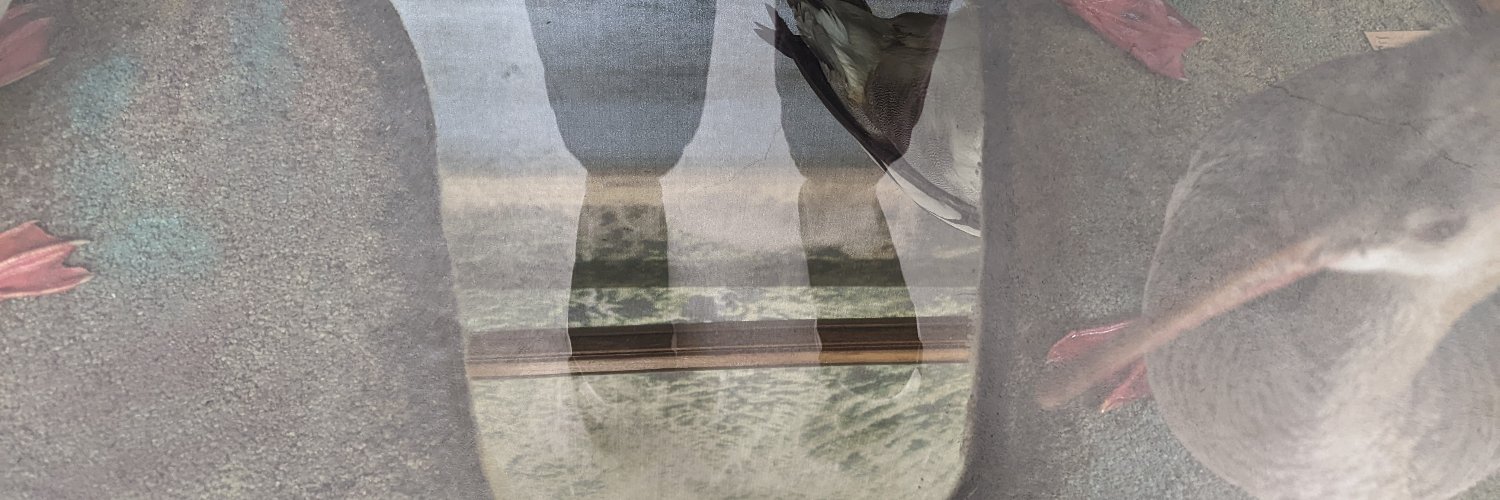 Chitra Ramalingam banner