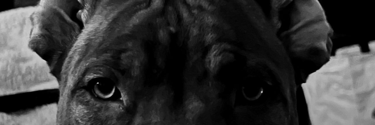 mrandyday's profile banner image