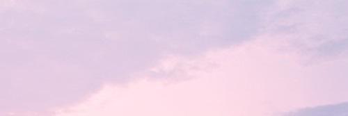 nouispasta's profile banner image