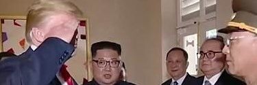 radiclibpinko's profile banner image