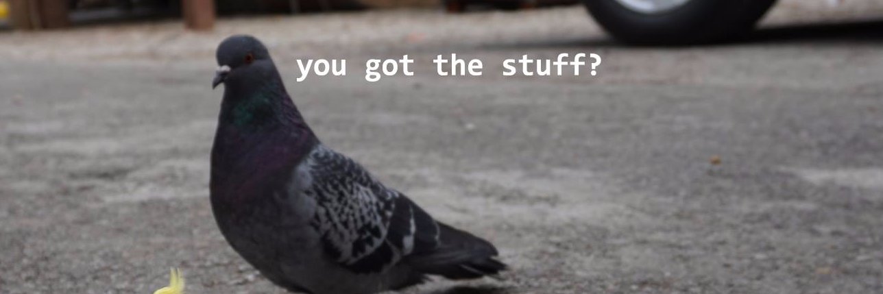 TheBenjiMaster's profile banner image