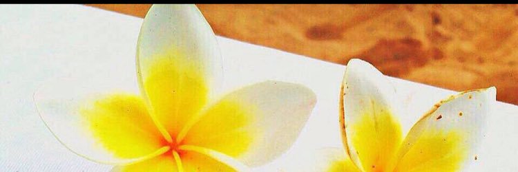 maaami0618's profile banner image