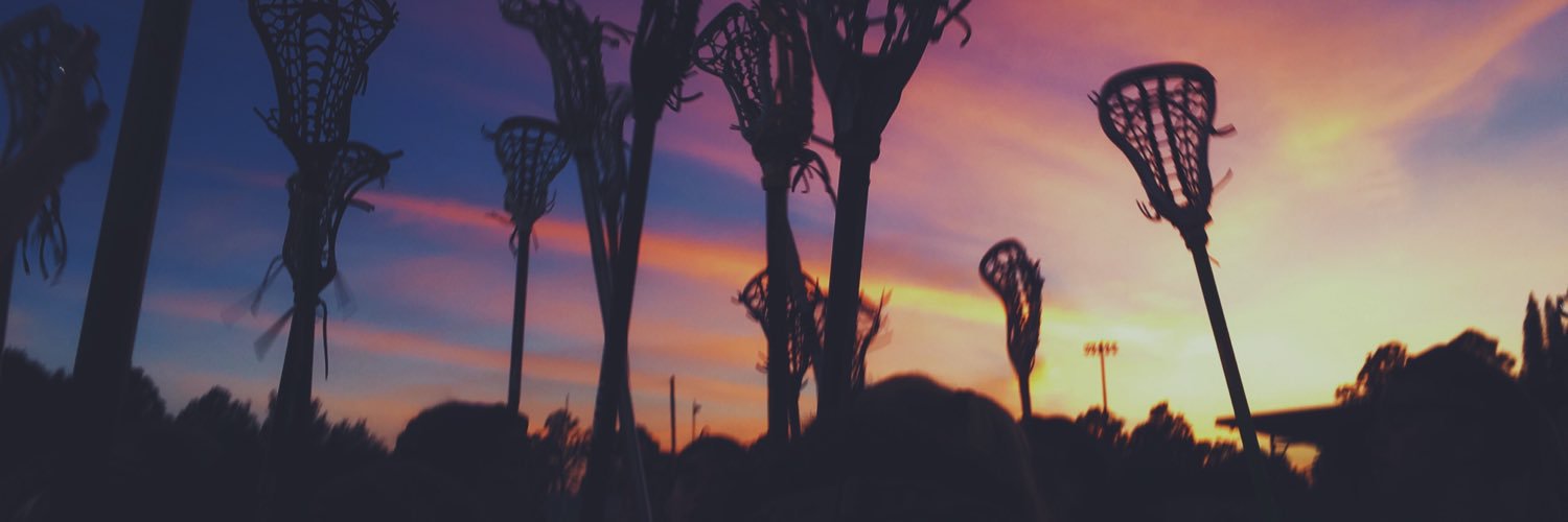 phslax2016's profile banner image