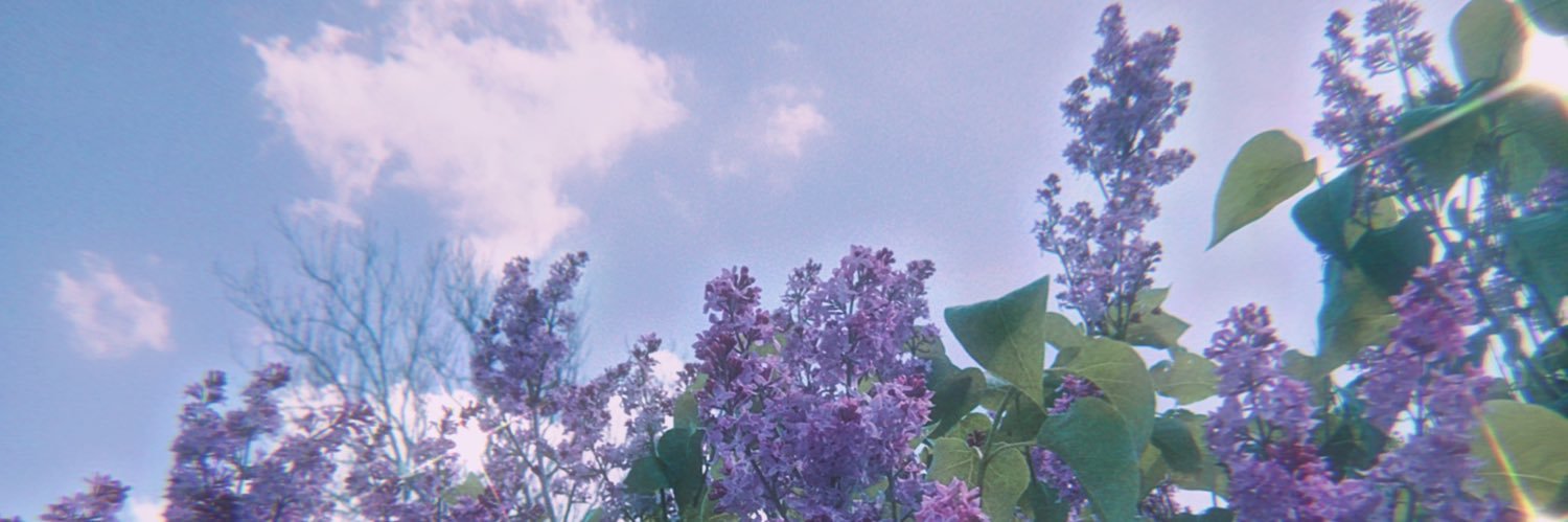 madselizabeth2's profile banner image