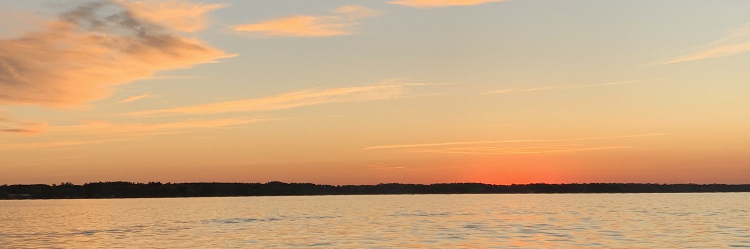 tashabikic's profile banner image