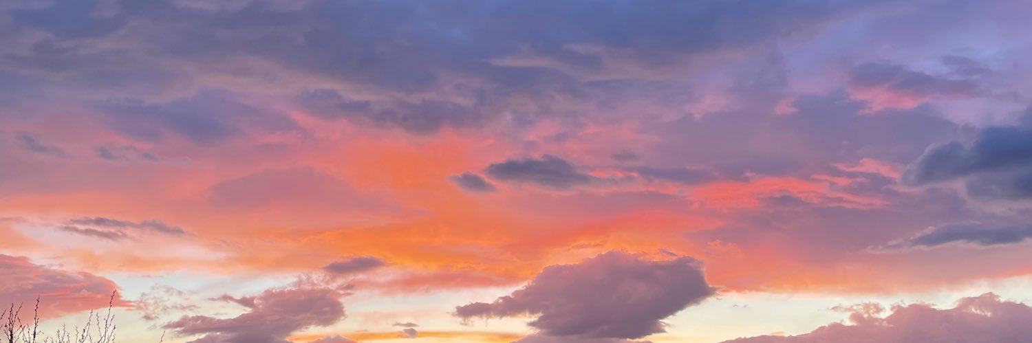 PauRegalop's profile banner image