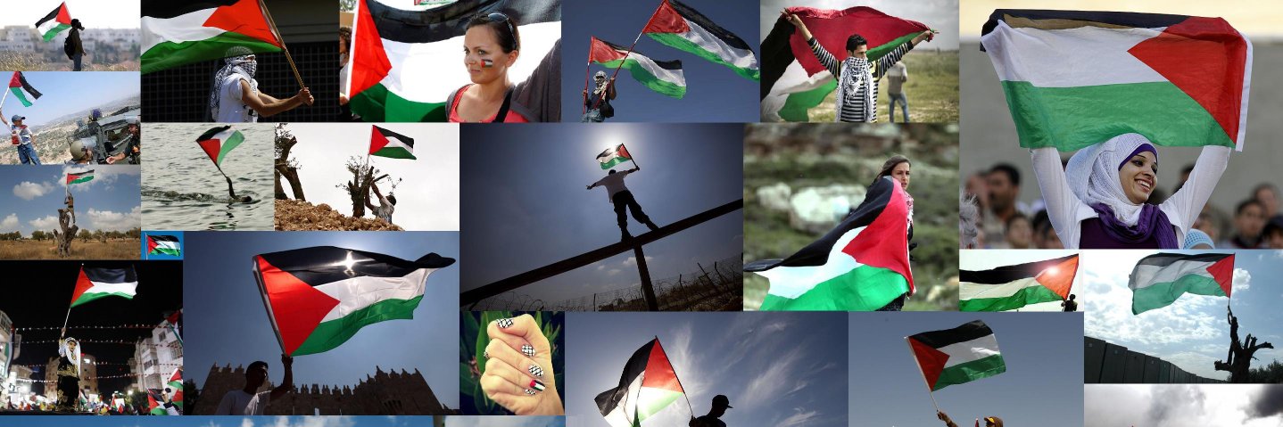 patacca 🇵🇸 quello di israele è genocidio banner