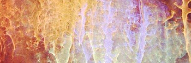 VivTigger's profile banner image