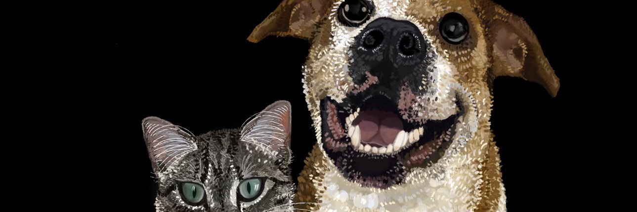 _not_andy_'s profile banner image