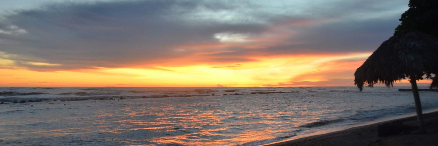 Shanelmichele's profile banner image