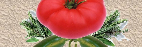 chefsbackyard Profile Banner