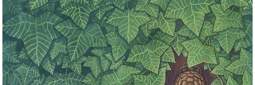 drippimaru's profile banner image
