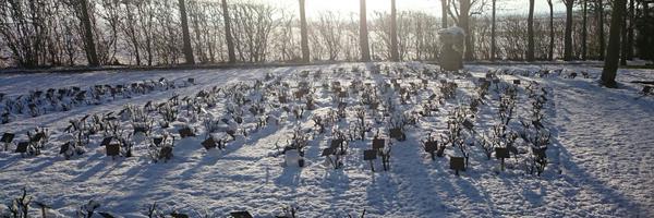 AndyPeacock999 Profile Banner