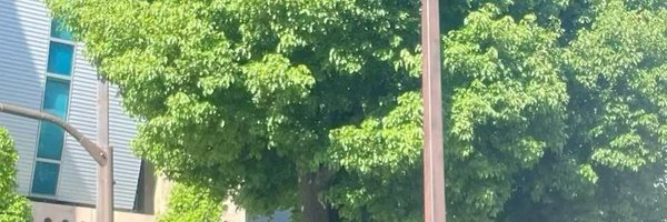 zuan55's profile banner image