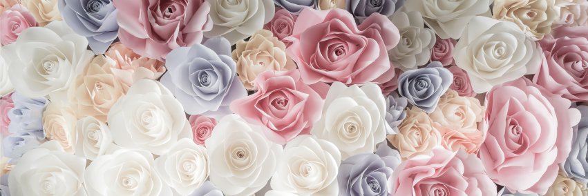 amyreiber's profile banner image