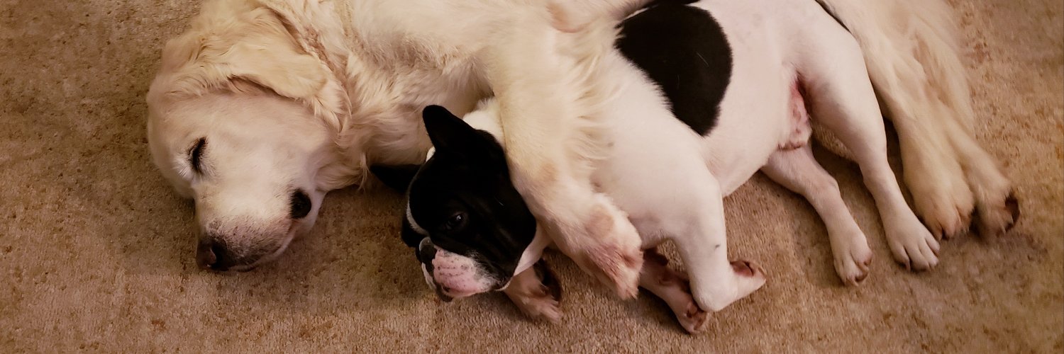 Michael Shepard banner