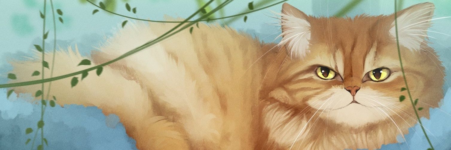 katybjorkman's profile banner image