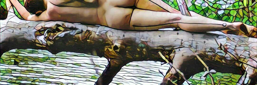 Ri Dickulous banner