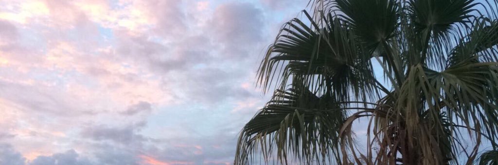 destinee_reimer's profile banner image