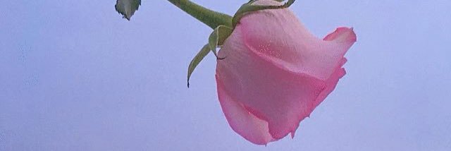 gy___ns's profile banner image