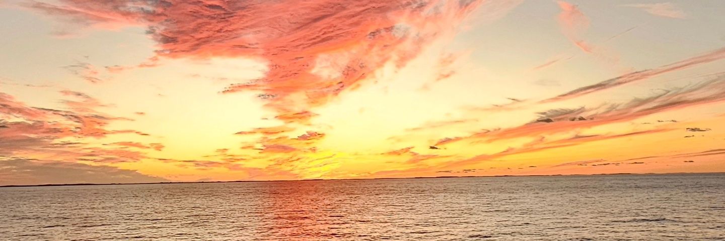 impailer's profile banner image