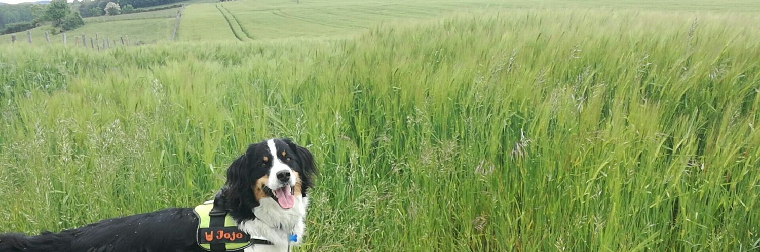 PepinPapin's profile banner image
