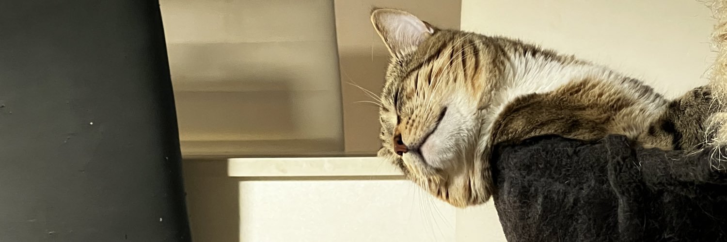 Straw_BerrySoda's profile banner image
