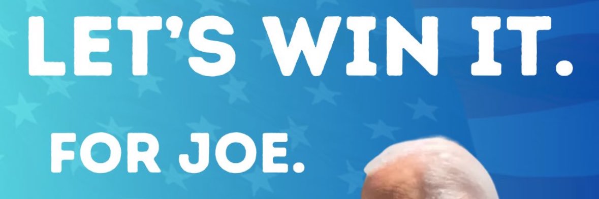 fran johnson🇺🇸 banner