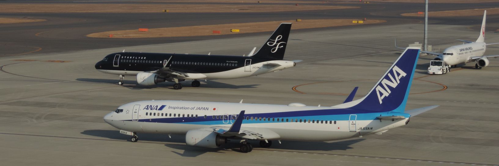 🍤🍳🧡⚾️🐨わかちゃん🐨⚾️🧡🍳🍤 banner