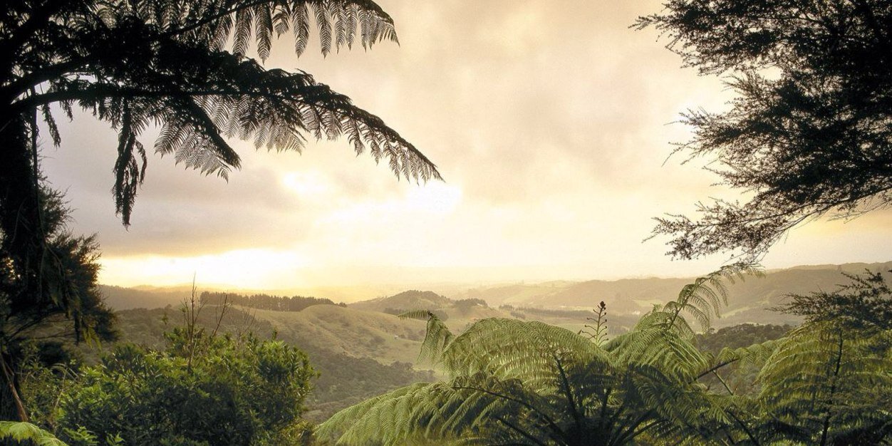 xpigas's profile banner image