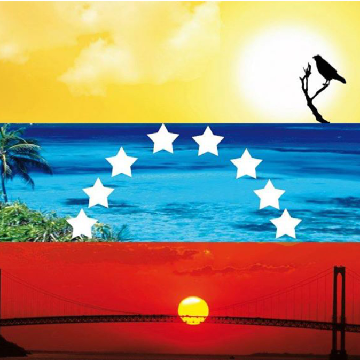 pina_ojeda's profile banner image