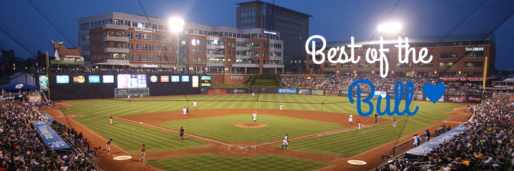 Best of the Bull banner