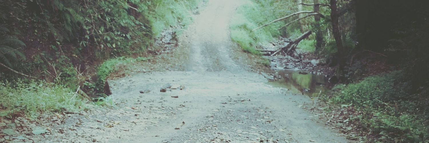gokce_sat's profile banner image