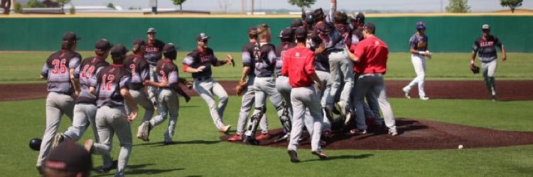 Red Devil Baseball banner