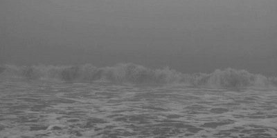 lilymdsgdr's profile banner image